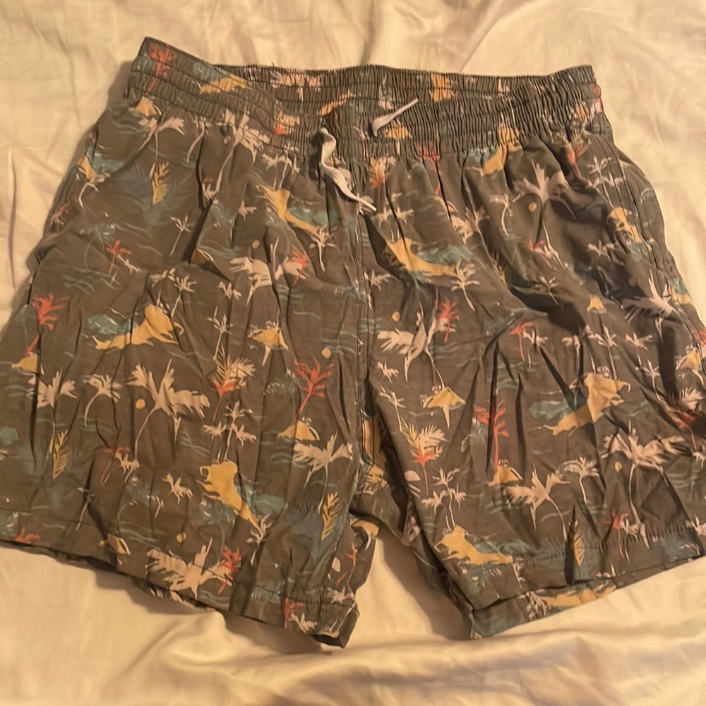 Chubbies stretch 5 in swim shorts
